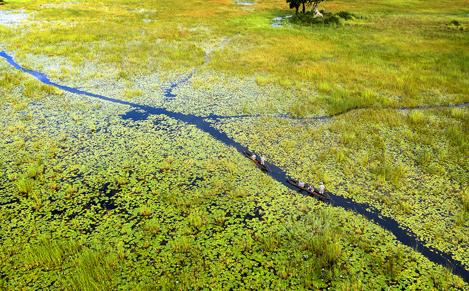Mokoro canoe on a serene channel in the Okavango Delta.