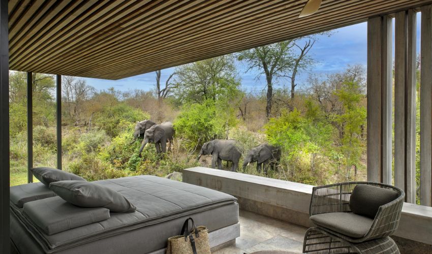 Elephant herd spotted from Cheetah Plains Villa.