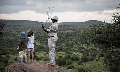 wildlife tracking activities