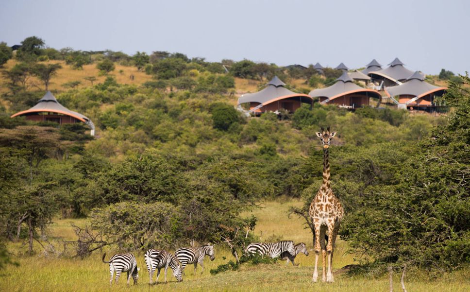 Mahali Mzuri safari lodge perched on a hillside in Kenya’s Maasai Mara, overlooking a grassy savanna where a giraffe and zebras roam freely in the foreground.
