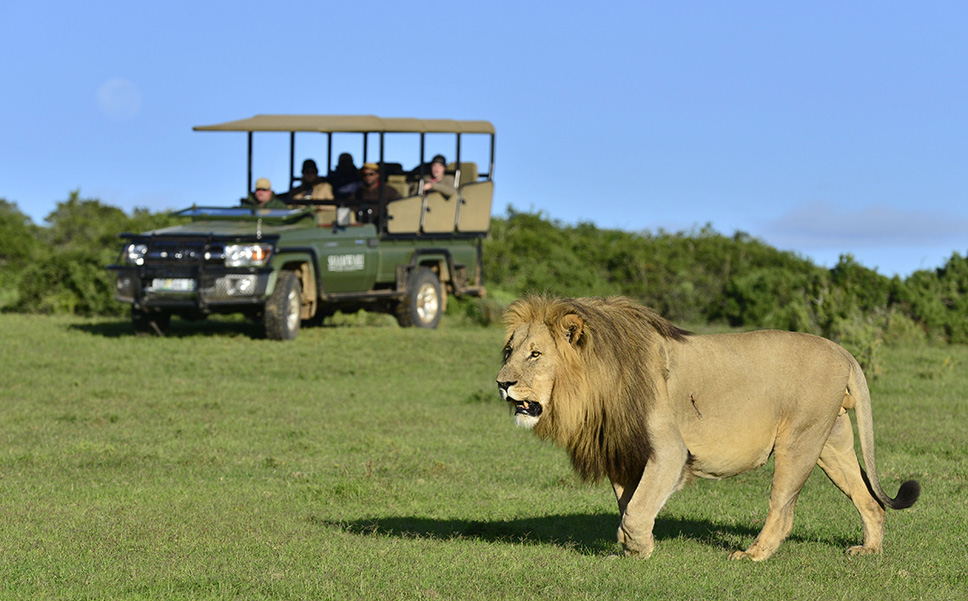 Shamwari Private Game Reserve