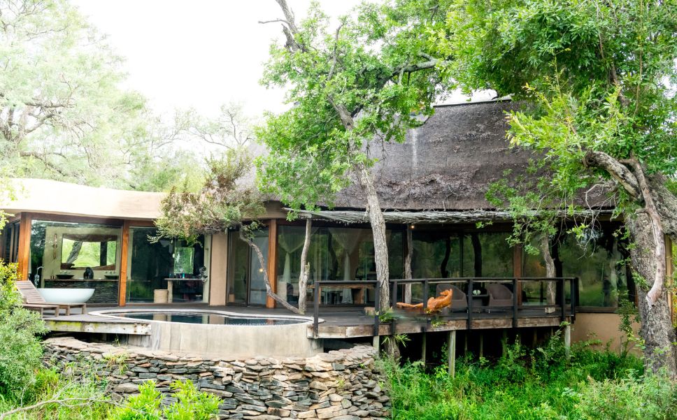 Exterior view of Singita Boulders Lodge Bush Suite surrounded by lush greenery, featuring large glass windows, a private plunge pool, and outdoor lounge area in the African bush.