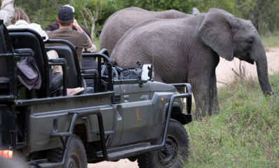 Game Drive at Cheetah Plains