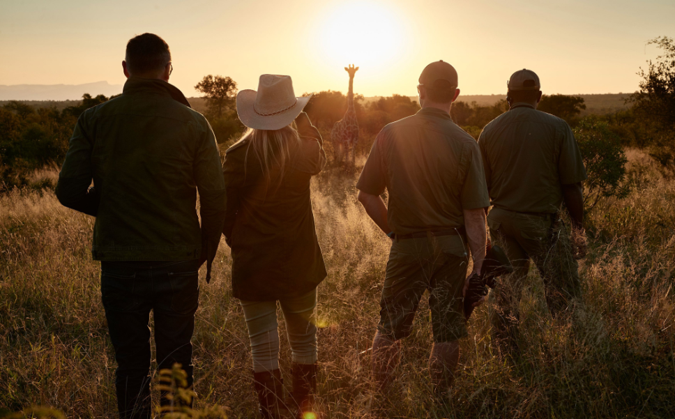 A group on a walking safari watch a giraffe in the distance.