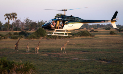 Game Drive Safari at Sabi Sabi spotting a male lion.