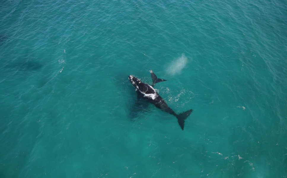 Family Safari South Africa