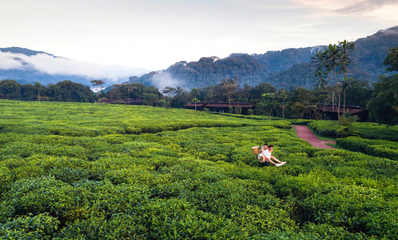 NYUNGWE NATIONAL PARK