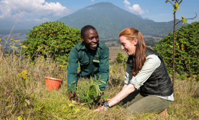 Tree planting at Wilderness Bisate