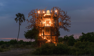 Game Drive Safari at Sabi Sabi spotting a male lion.